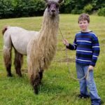 Llama and young boy posing for the camera