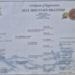 Phantom Registration