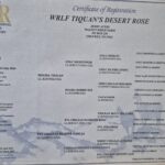 Desert Rose Reg
